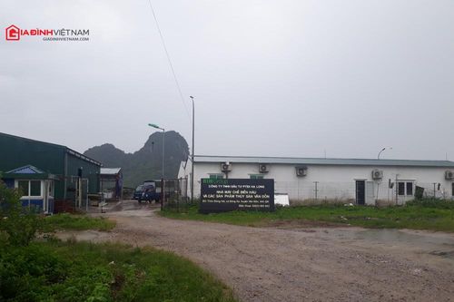 Nhà máy chế biến hàu của Bim Group có xử lý tốt vấn đề nước thải?