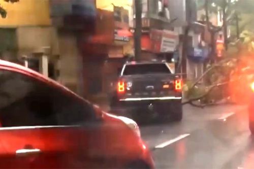 Xe bán tải Ford Ranger Raptor ủi cây đổ sau bão giúp dân