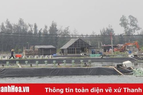 Huyện Quảng Xương tích tụ 131,5 ha đất nuôi trồng thủy sản