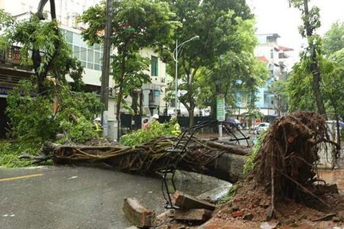 Hỗ trợ tối đa cho dân sau bão