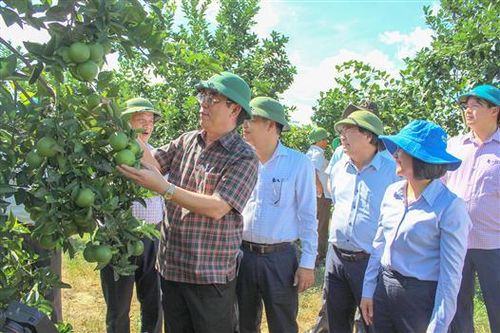 Chủ tịch UBND tỉnh Nguyễn Đức Chính kiểm tra tình hình sản xuất nông nghiệp của huyện Hải Lăng