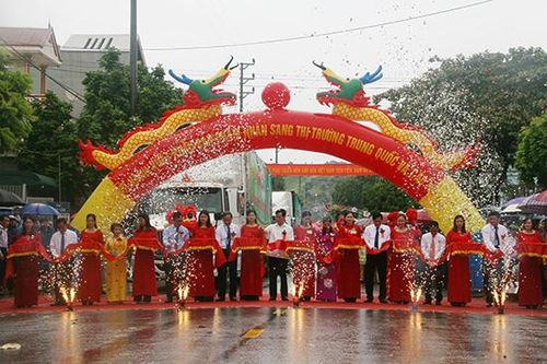 Ngày hội nhãn Sông Mã - đưa hương nhãn bay xa