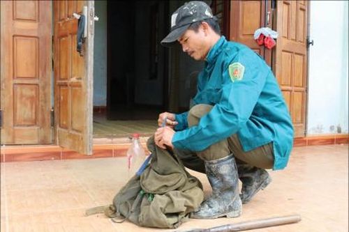 Kinh tế Lấy rừng nuôi rừng