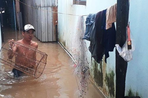Kiên Giang: Dân đảo Phú Quốc quay cuồng với cơn 'đại hồng thủy' chưa từng có