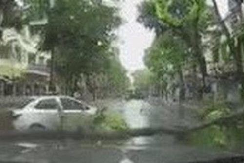 Hành động đẹp sau cơn bão khủng khiếp làm ấm lòng triệu người đang chịu mưa gió