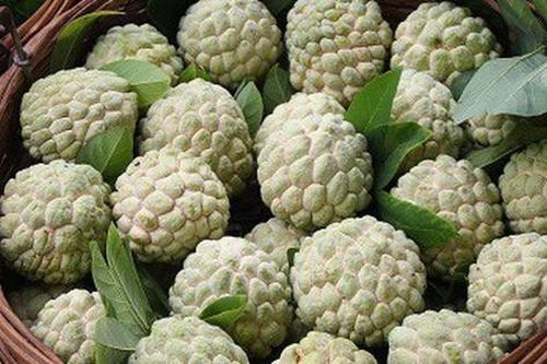 Những người có bệnh này cần kiêng ăn na để bảo vệ sức khỏe