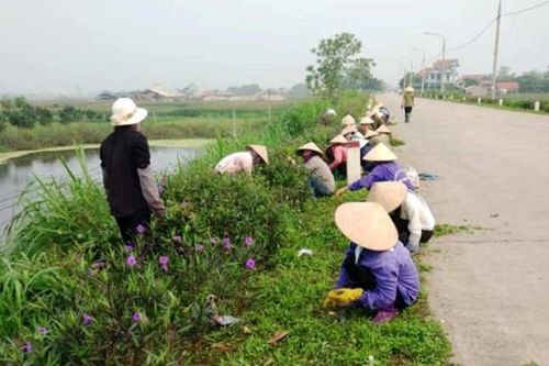 Tự quản xây dựng khu dân cư sáng, xanh, sạch đẹp