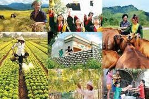 Nỗ lực hoàn thành các chương trình mục tiêu quốc gia