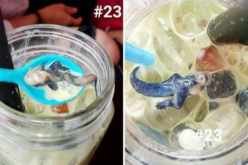 Mua cốc trà sữa, uống gần hết anh chàng 'nổi da gà' khi nhìn thấy một thứ