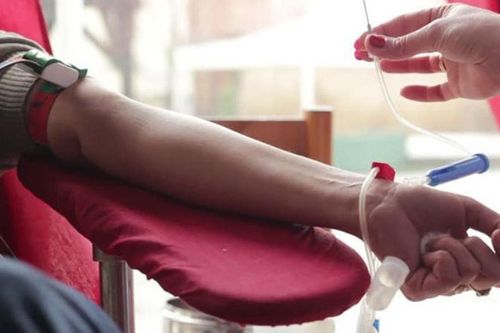 Hành trình Đỏ 2019 tiếp nhận hơn 85.000 đơn vị máu