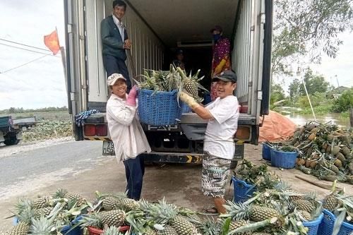 Hà Nội thừa nhận giám sát chất lượng nông sản còn khó khăn