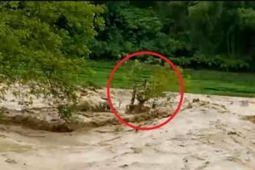 Tặng bằng khen cho thanh niên cứu người đu cây trong lũ dữ ở Thanh Hóa