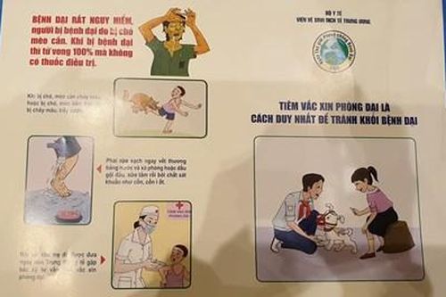 Đã có 46 người chết vì bệnh dại
