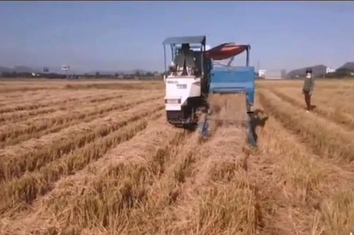 Nghiệm thu đề tài hoàn thiện thiết kế và chế tạo máy cuốn rơm