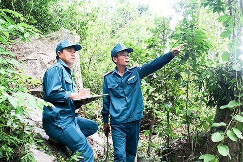 'Hạ nhiệt' điểm nóng phá rừng Dốc Mỏ - suối Hương