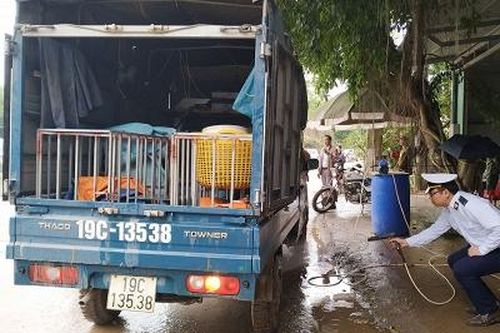 Toàn tỉnh có 21 xã công bố hết dịch tả lợn châu Phi