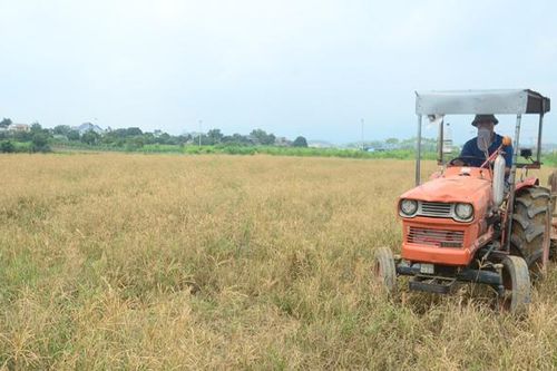 Kiểm soát việc kinh doanh, sử dụng thuốc trừ cỏ cháy