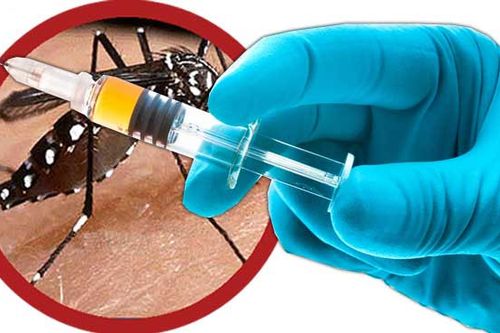 Cả nước đã ghi nhận 15 trường hợp tử vong do sốt xuất huyết