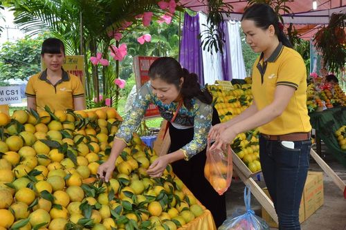 Sản phẩm bảo hộ chỉ dẫn địa lý: Cần sự hỗ trợ xứng đáng