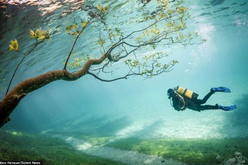 Công viên biến thành điểm lặn siêu thực