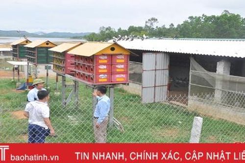 'Đột nhập' Đường Gia Trang xem lão nông Hà Tĩnh làm kinh tế HTX kiểu mới