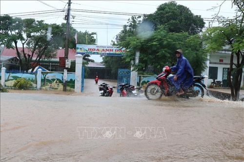 Đắk Lắk: Hàng trăm ngôi nhà bị ngập, hàng nghìn ha lúa chìm trong biển nước