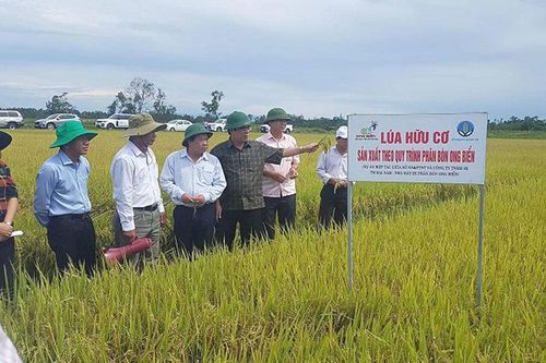 Thông điệp từ những 'cánh đồng chết' được hồi sinh