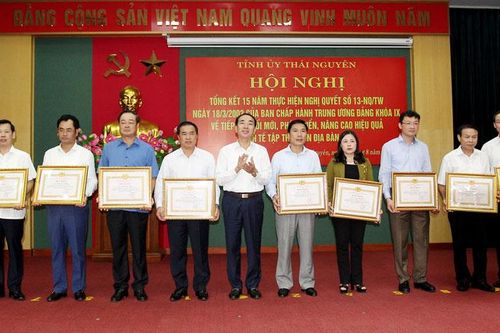 Tiếp tục nâng cao hiệu quả hoạt động của các mô hình kinh tế tập thể, HTX