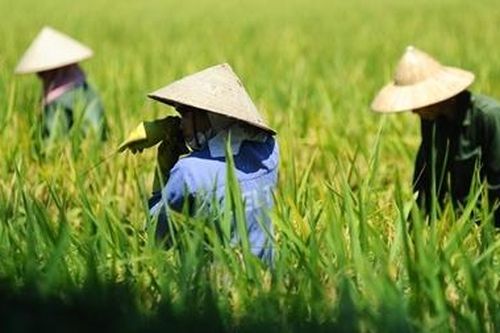 Giảm mưa, nắng nóng quay lại miền Bắc