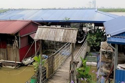 Nguy cơ gây mất ATGT thủy từ nhà hàng nổi tự phát trên sông Hồng