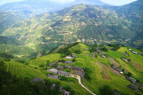 'Thung lũng' homestay Quảng Hạ