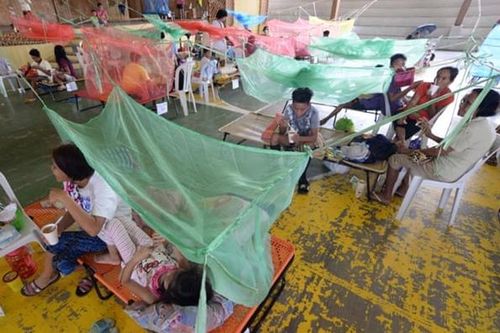 600 người chết do sốt xuất huyết, Philippines tuyên bố bệnh dịch toàn quốc