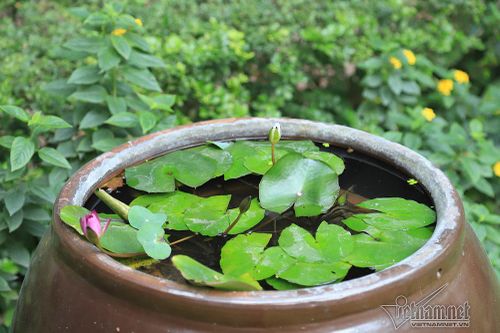 Chúng tôi sắp cưới nhưng bạn trai lại không muốn 'chuyện ấy'