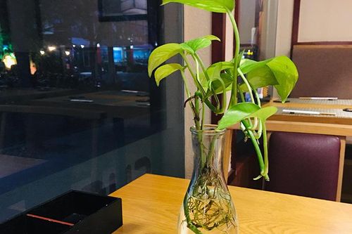 45 tuổi, nhà giàu, xe sang, lương tháng trăm triệu nhưng tôi không lấy được vợ