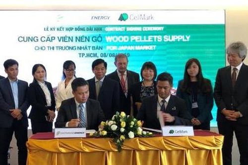 Cơ hội thúc đẩy xuất khẩu viên gỗ nén vào thị trường Nhật Bản