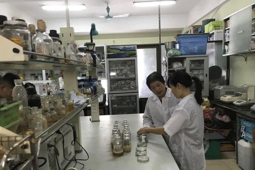VAST công bố nghiên cứu xử lý rác thải nilon bằng công nghệ sinh học