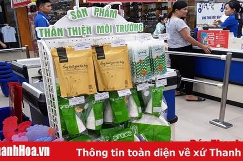 Thay đổi thói quen sử dụng túi ni-lông: Hành động nhỏ, ý nghĩa lớn