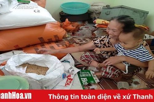 Lúa 'ông tướng'