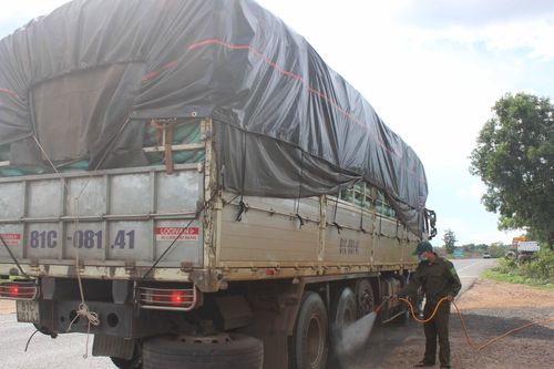 Chư Pưh: Công bố xã cuối cùng hết dịch tả heo châu Phi