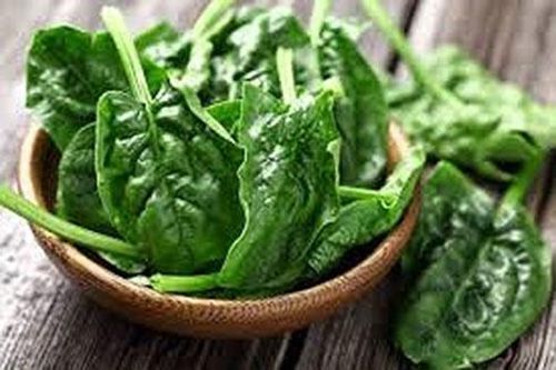 Rau mồng tơi chữa yếu sinh lý, đau xương khớp, tiểu đường