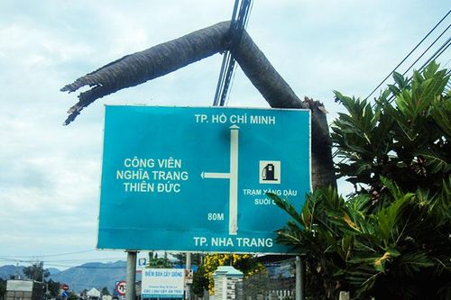 Cây đè lên dây điện