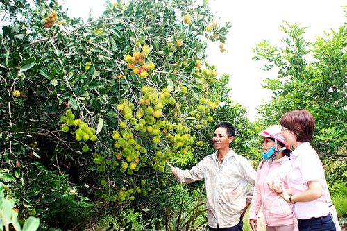 Thoát nghèo nhờ nguồn vốn tín dụng chính sách