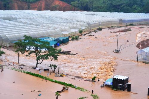 Lạc Dương: Hơn 100 ha hoa màu bị ngập nặng do mưa lũ