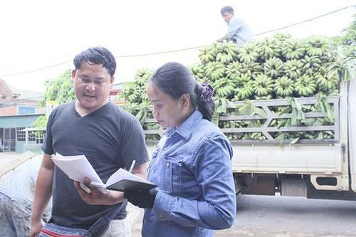 Người đưa chuối Hướng Hóa xuất khẩu ra nước ngoài
