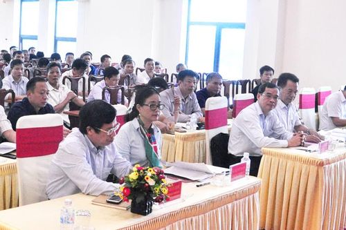 Bàn giải pháp phát triển chăn nuôi đại gia súc
