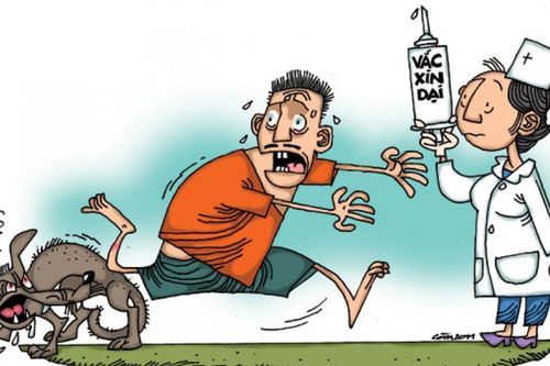 Nắng nóng và nguy cơ bệnh dại