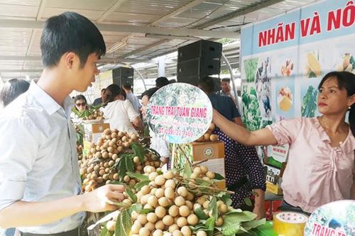 Big C kết nối tiêu thụ nhãn Hưng Yên