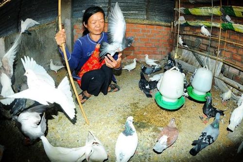 Xây 1.000 nhà Đại đoàn kết và phát động nhắn tin ủng hộ người nghèo