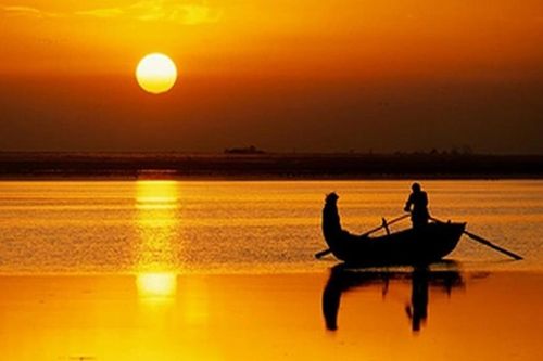 Phật dạy: Ngẩng đầu cần ý chí, cúi đầu cần dũng khí
