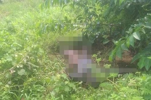 Quảng Ninh: Tìm thấy thi thể cụ ông sau nhiều ngày mất tích